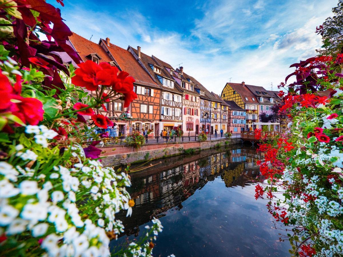 Le 19 Kleber Climatise * Colmar