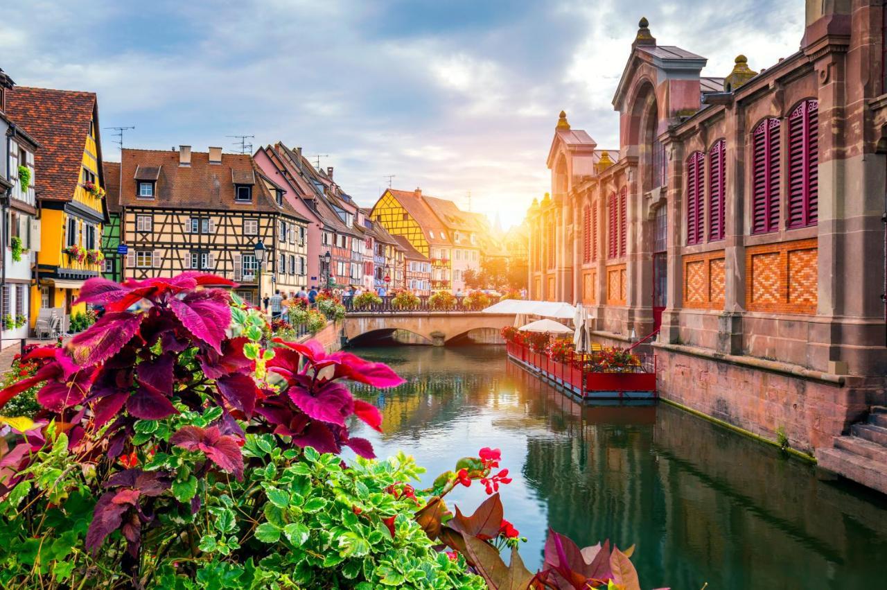 Le 19 Kleber Climatise * Colmar